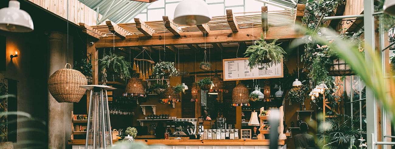 Beautiful Ladies Collection in Orba